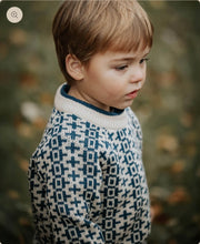 Laden Sie das Bild in den Galerie-Viewer, Nordic Pullover Fliink🇩🇰