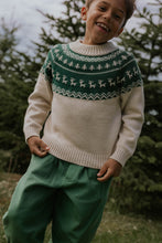 Laden Sie das Bild in den Galerie-Viewer, NORDIC Pullover Fliink