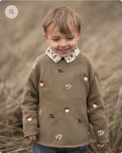 Laden Sie das Bild in den Galerie-Viewer, Pullover Hanevild 🇩🇰